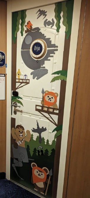 Disney cruise full-door banner example