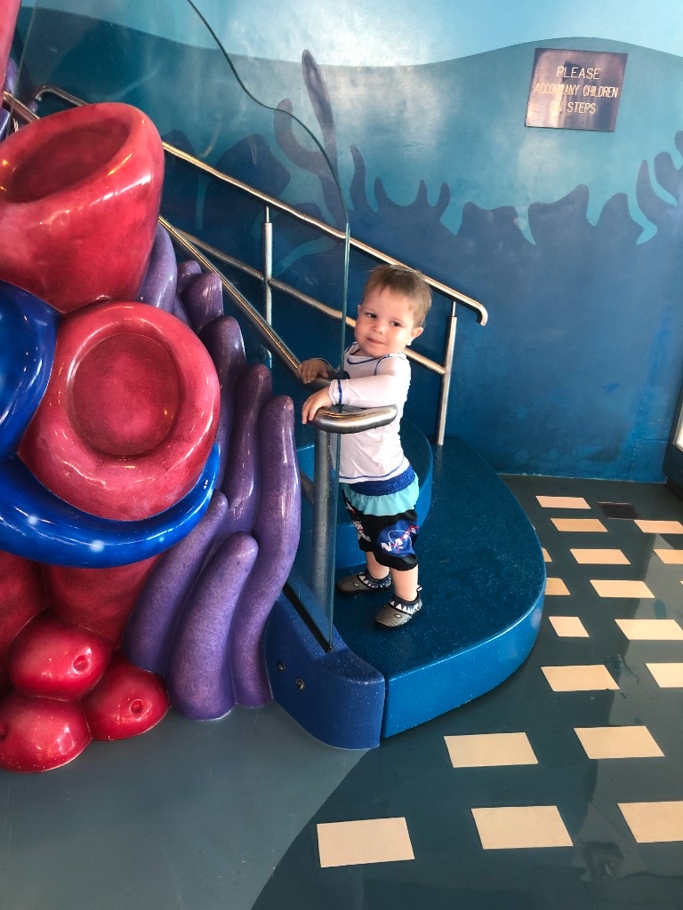 Toddler at themed water-play stairs on a Disney cruise